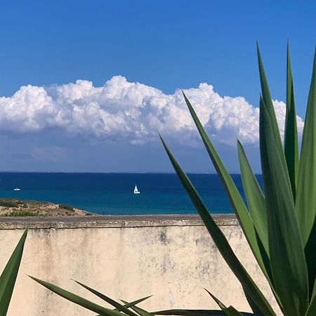 Campomarino  Luga Apartments מראה חיצוני תמונה