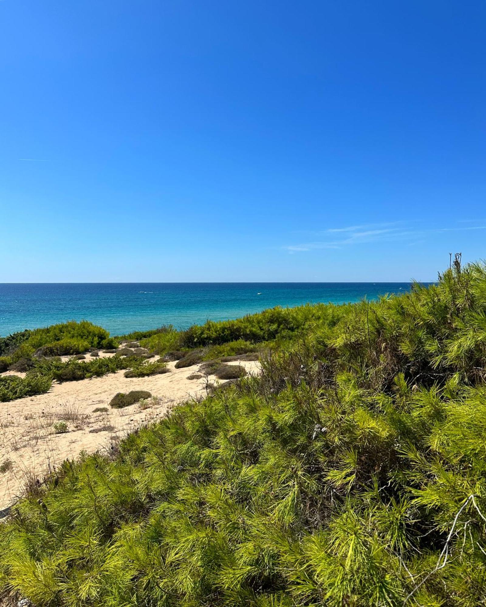 Campomarino  Luga Apartments מראה חיצוני תמונה